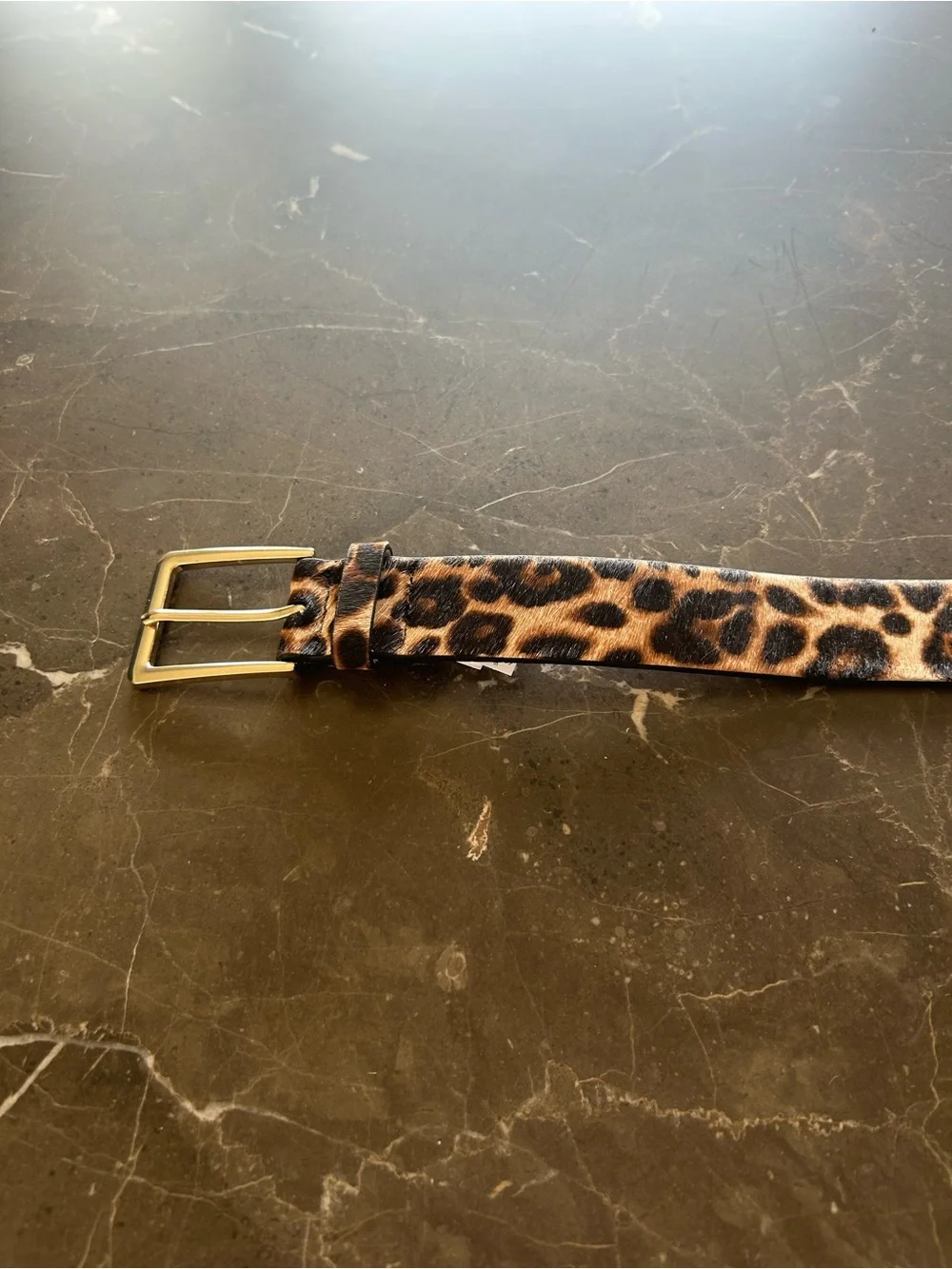 White House Black Market Leopard Print Belt with Gold Buckle  New With Tags